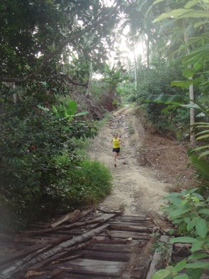 raw runner jungle run 1